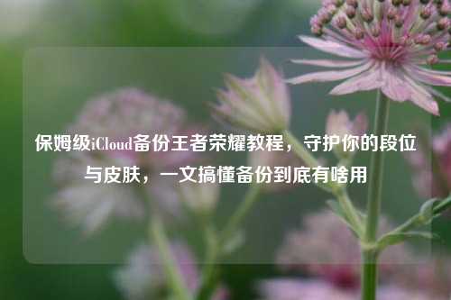 保姆级iCloud备份王者荣耀教程，守护你的段位与皮肤，一文搞懂备份到底有啥用
