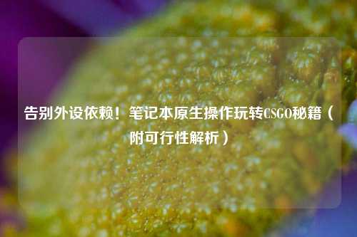 告别外设依赖！笔记本原生操作玩转CSGO秘籍（附可行性解析）