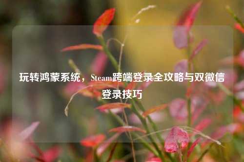 玩转鸿蒙系统，Steam跨端登录全攻略与双微信登录技巧