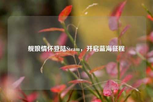 舰娘情怀登陆Steam，开启蓝海征程