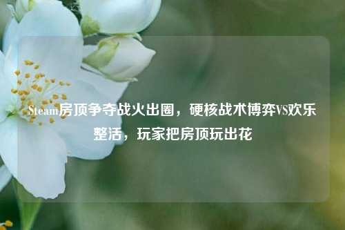 Steam房顶争夺战火出圈，硬核战术博弈VS欢乐整活，玩家把房顶玩出花