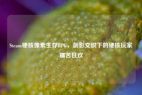 Steam硬核像素生存RPG,剑影交织下的硬核玩家痛苦狂欢