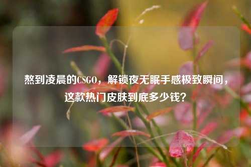 熬到凌晨的CSGO，解锁夜无眠手感极致瞬间，这款热门皮肤到底多少钱？