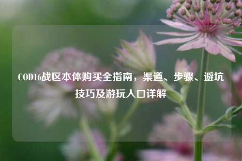 COD16战区本体购买全指南，渠道、步骤、避坑技巧及游玩入口详解