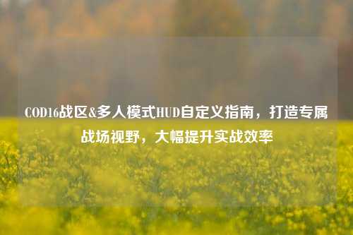 COD16战区&多人模式HUD自定义指南，打造专属战场视野，大幅提升实战效率