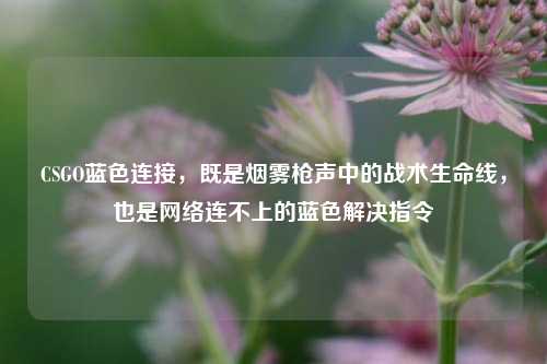 CSGO蓝色连接,既是烟雾枪声中的战术生命线,也是网络连不上的蓝色解决指令