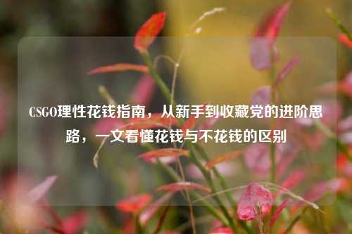 CSGO理性花钱指南,从新手到收藏党的进阶思路,一文看懂花钱与不花钱的区别