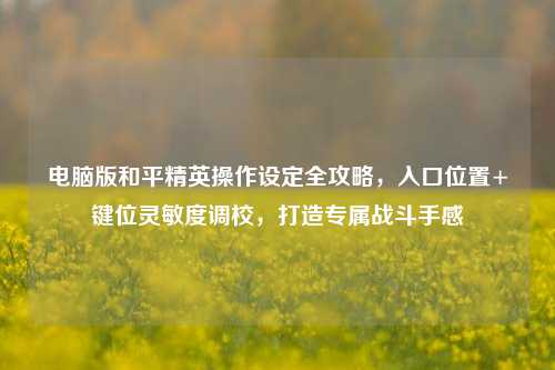 电脑版和平精英操作设定全攻略,入口位置+键位灵敏度调校,打造专属战斗手感
