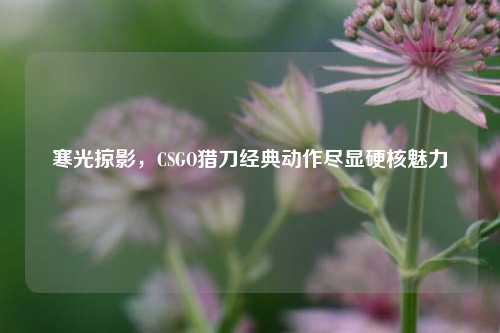 寒光掠影，CSGO猎刀经典动作尽显硬核魅力