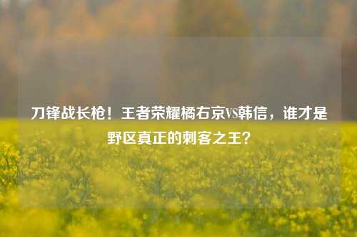 刀锋战长枪！王者荣耀橘右京VS韩信，谁才是野区真正的刺客之王？