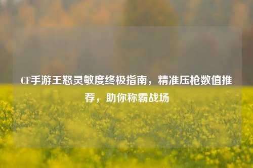 CF手游王怒灵敏度终极指南，精准压枪数值推荐，助你称霸战场