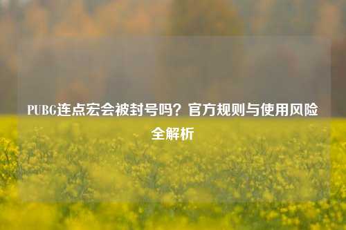 PUBG连点宏会被封号吗？官方规则与使用风险全解析