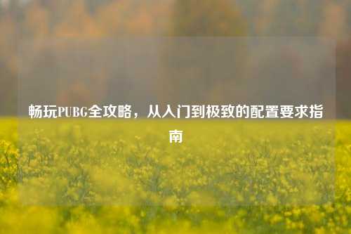 畅玩PUBG全攻略，从入门到极致的配置要求指南