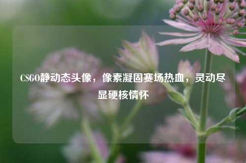 CSGO静动态头像，像素凝固赛场热血，灵动尽显硬核情怀