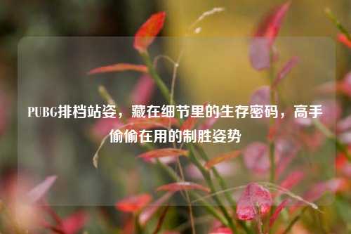 PUBG排档站姿,藏在细节里的生存密码,高手偷偷在用的制胜姿势