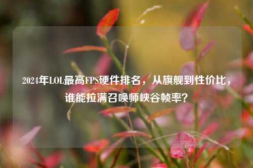 2024年LOL最高FPS硬件排名,从旗舰到性价比,谁能拉满召唤师峡谷帧率?
