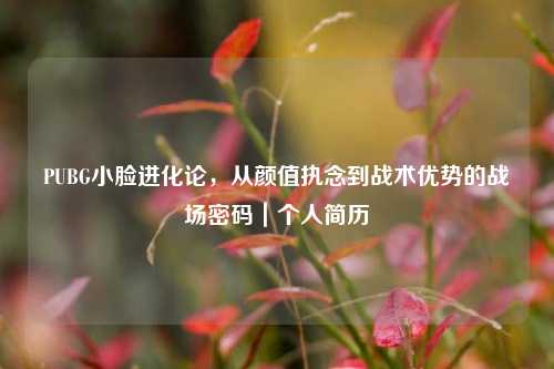 PUBG小脸进化论，从颜值执念到战术优势的战场密码｜个人简历