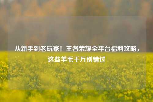 从新手到老玩家！王者荣耀全平台福利攻略，这些羊毛千万别错过