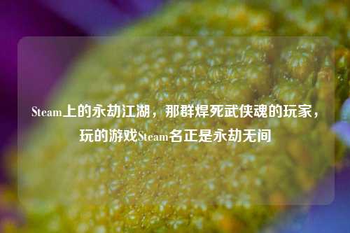 Steam上的永劫江湖，那群焊死武侠魂的玩家，玩的游戏Steam名正是永劫无间
