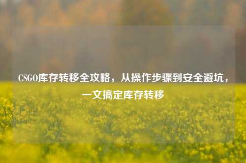 CSGO库存转移全攻略，从操作步骤到安全避坑，一文搞定库存转移