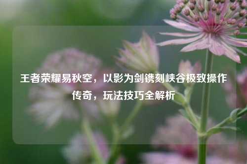 王者荣耀易秋空，以影为剑镌刻峡谷极致操作传奇，玩法技巧全解析