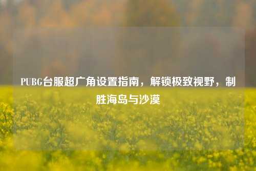 PUBG台服超广角设置指南,解锁极致视野,制胜海岛与沙漠