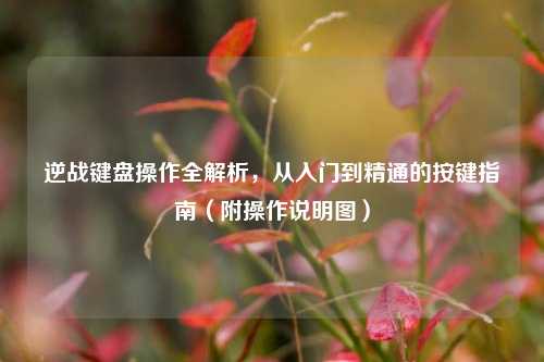 逆战键盘操作全解析，从入门到精通的按键指南（附操作说明图）