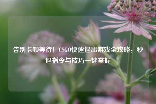 告别卡顿等待!CSGO快速退出游戏全攻略,秒退指令与技巧一键掌握