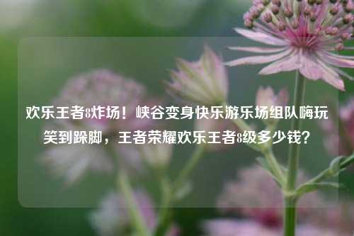 欢乐王者8炸场！峡谷变身快乐游乐场组队嗨玩笑到跺脚，王者荣耀欢乐王者8级多少钱？