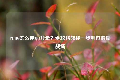PUBG怎么用QQ登录？全攻略教你一步到位解锁战场
