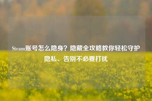 Steam账号怎么隐身？隐藏全攻略教你轻松守护隐私、告别不必要打扰