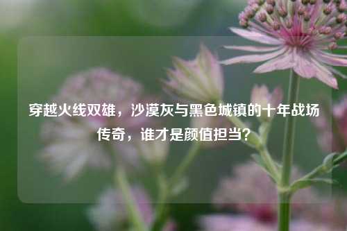 穿越火线双雄,沙漠灰与黑色城镇的十年战场传奇,谁才是颜值担当?