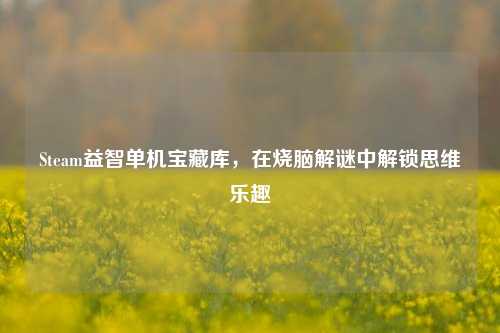 Steam益智单机宝藏库，在烧脑解谜中解锁思维乐趣