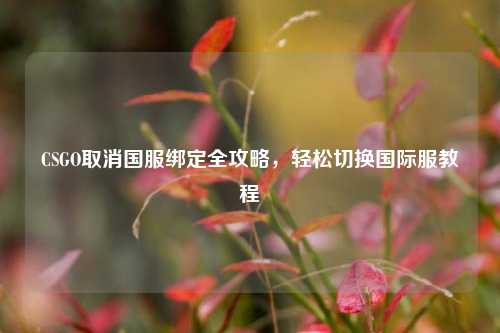 CSGO取消国服绑定全攻略,轻松切换国际服教程