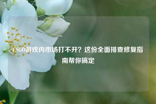 CSGO游戏内市场打不开？这份全面排查修复指南帮你搞定