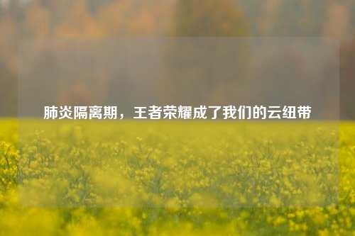 肺炎隔离期，王者荣耀成了我们的云纽带