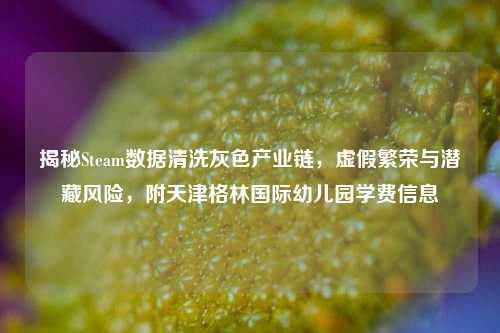 揭秘Steam数据清洗灰色产业链，虚假繁荣与潜藏风险，附天津格林国际幼儿园学费信息