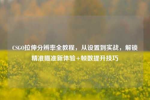 CSGO拉伸分辨率全教程，从设置到实战，解锁精准瞄准新体验+帧数提升技巧