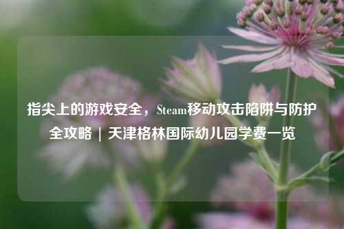 指尖上的游戏安全，Steam移动攻击陷阱与防护全攻略 | 天津格林国际幼儿园学费一览