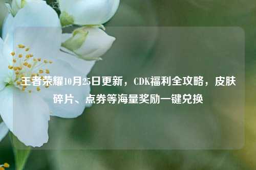 王者荣耀10月25日更新，CDK福利全攻略，皮肤碎片、点券等海量奖励一键兑换