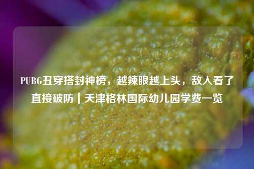 PUBG丑穿搭封神榜，越辣眼越上头，敌人看了直接破防｜天津格林国际幼儿园学费一览