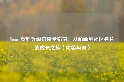 Steam资料等级进阶全指南，从萌新到社区名片的成长之旅（附等级表）