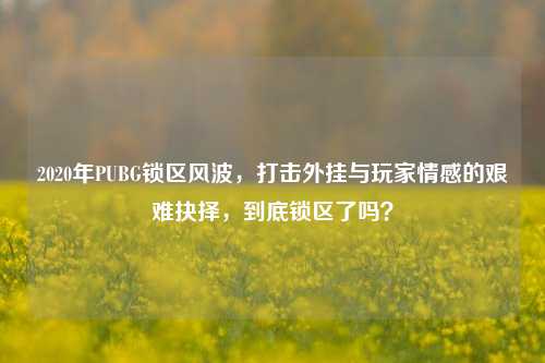 2020年PUBG锁区风波,打击外挂与玩家情感的艰难抉择,到底锁区了吗?