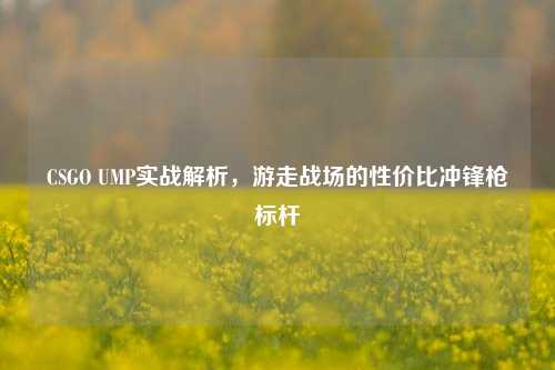 CSGO UMP实战解析,游走战场的性价比冲锋枪标杆