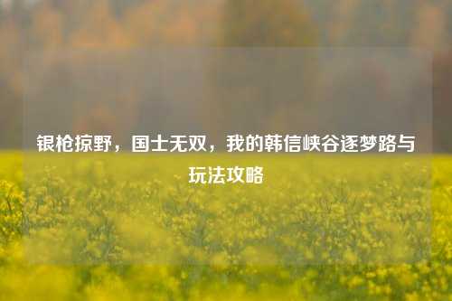 银枪掠野，国士无双，我的韩信峡谷逐梦路与玩法攻略