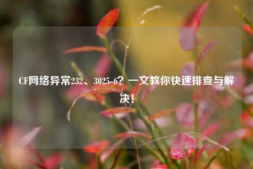 CF网络异常232、3025-6？一文教你快速排查与解决！