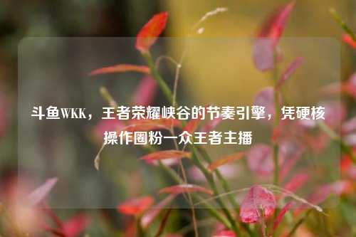 斗鱼WKK，王者荣耀峡谷的节奏引擎，凭硬核操作圈粉一众王者主播