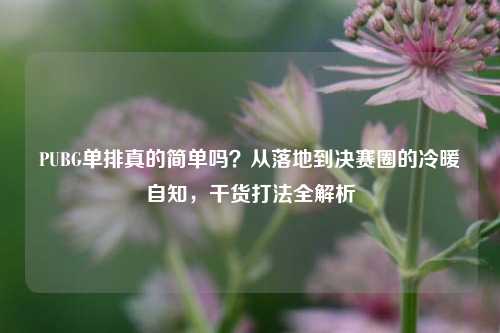 PUBG单排真的简单吗?从落地到决赛圈的冷暖自知,干货打法全解析