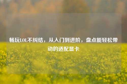 畅玩LOL不纠结，从入门到进阶，盘点能轻松带动的适配显卡
