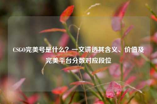 CSGO完美号是什么?一文讲透其含义、价值及完美平台分数对应段位